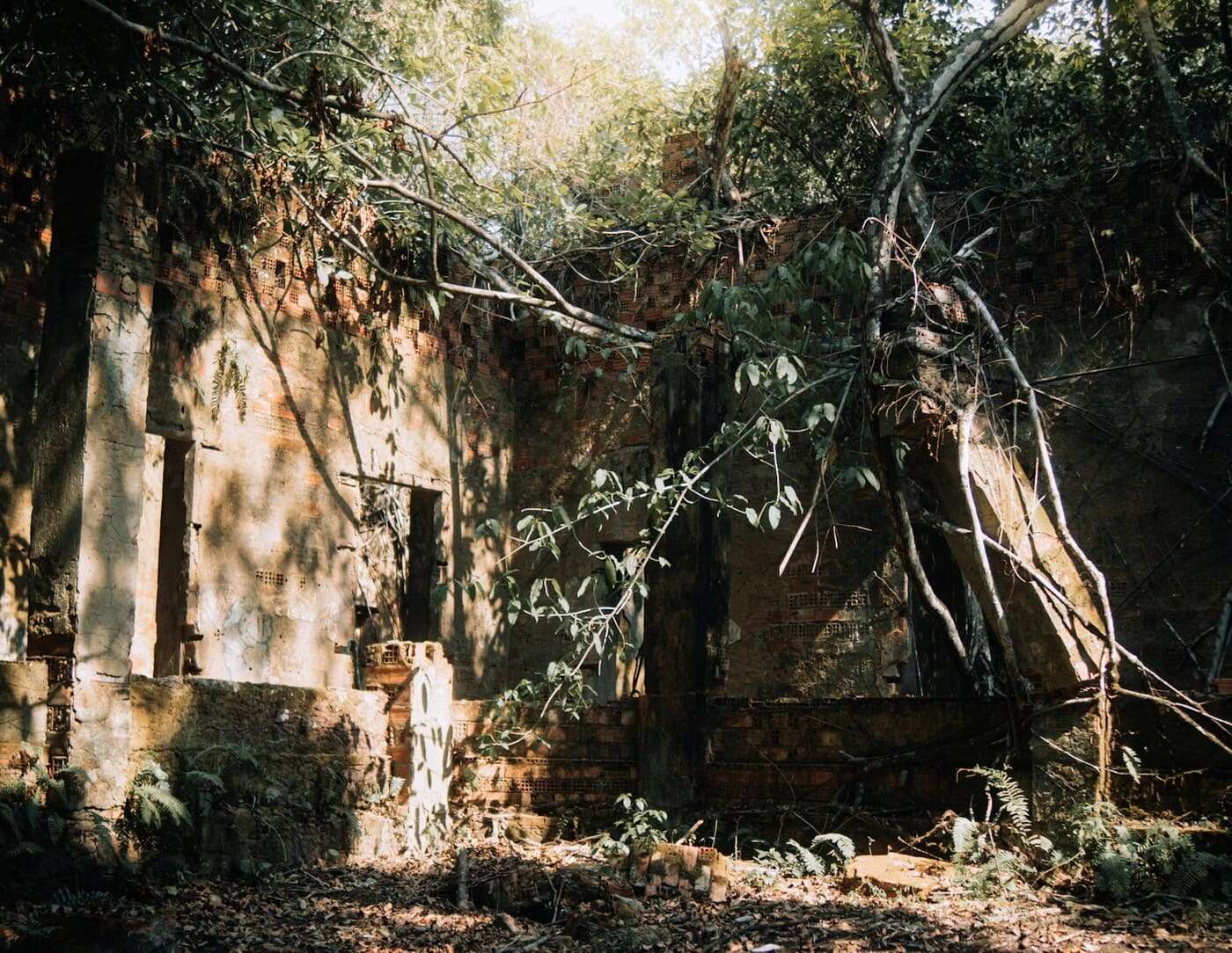 Από την Αποψίλωση στην Κατεδάφιση