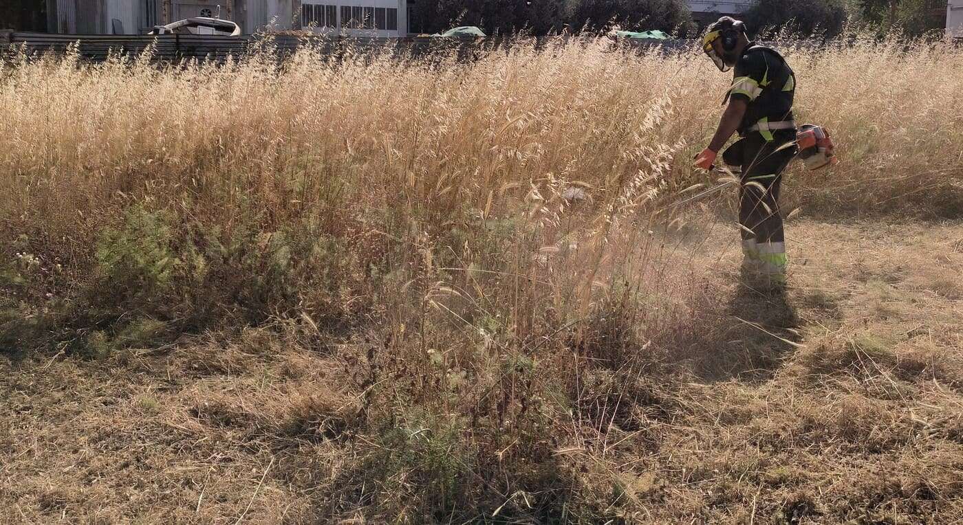 Καθαρισμός οικοπέδου από ξερά χόρτα