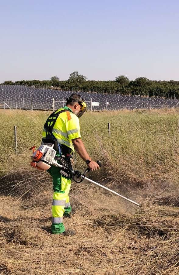 Καθαρισμός οικοπέδου