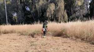 Καθαρισμός Οικοπέδου - Αποψίλωση ξερών χόρτων | Αθήνα.