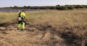 Καθαρισμός Οικοπέδου - Αποψίλωση ξερών χόρτων | Αθήνα.