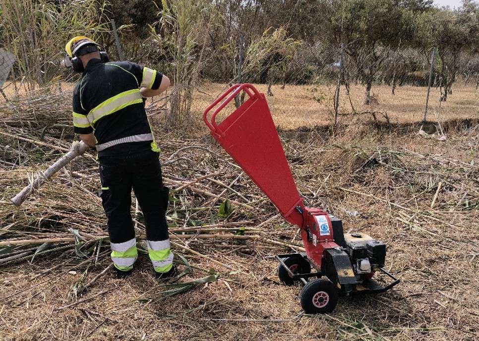 Θρυμματισμός Κλαδιών