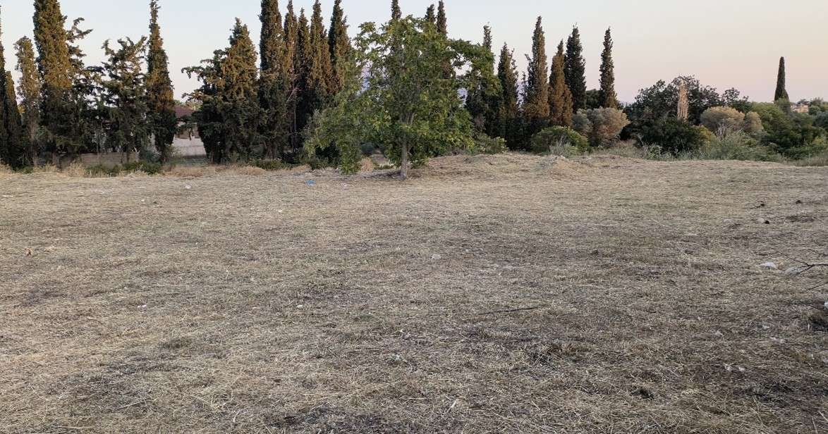 Ολοκληρωμένη Αποψίλωση Ξερών Χόρτων